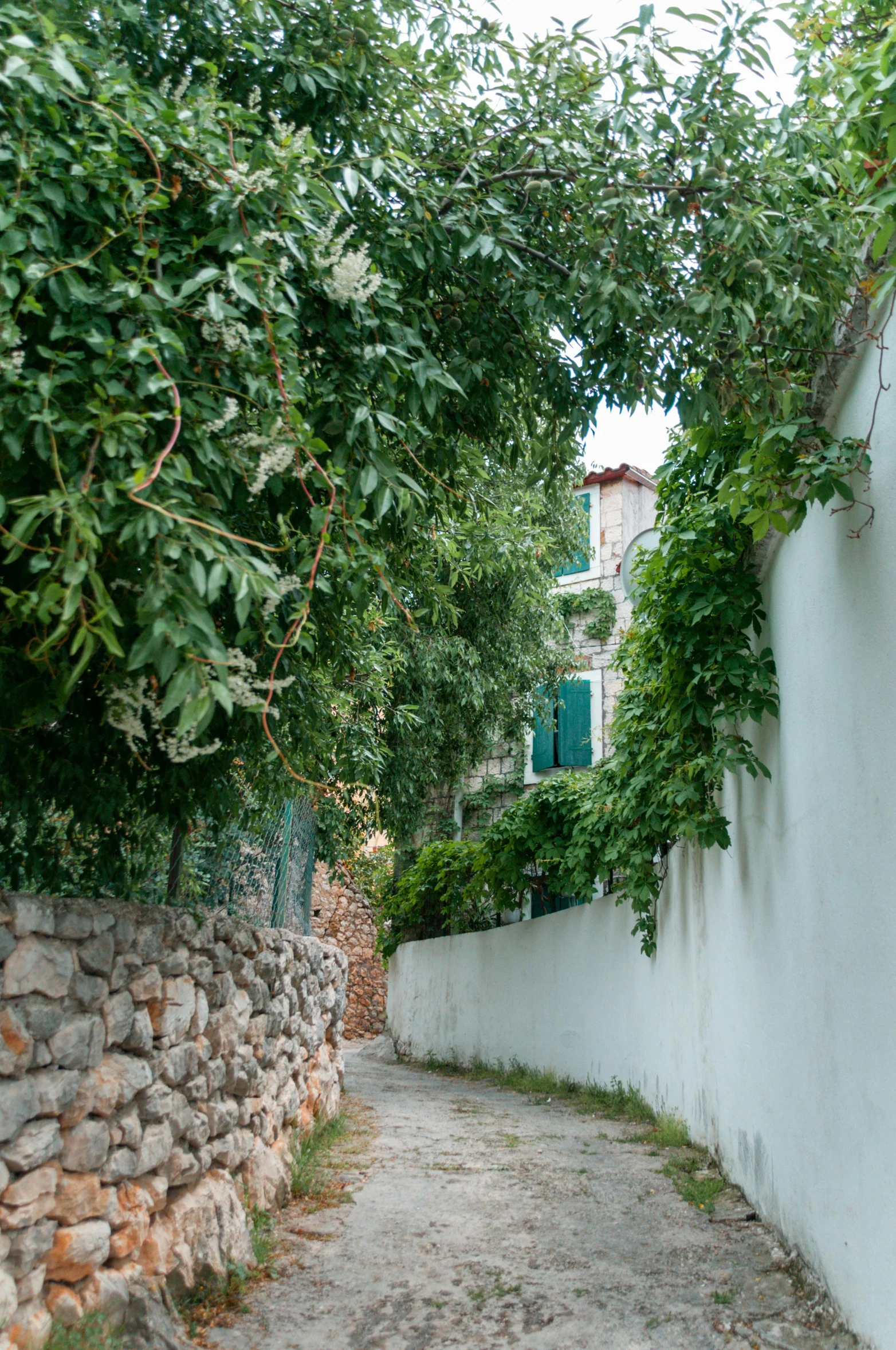 a narrow walkway has a rock wall and lots of leaves