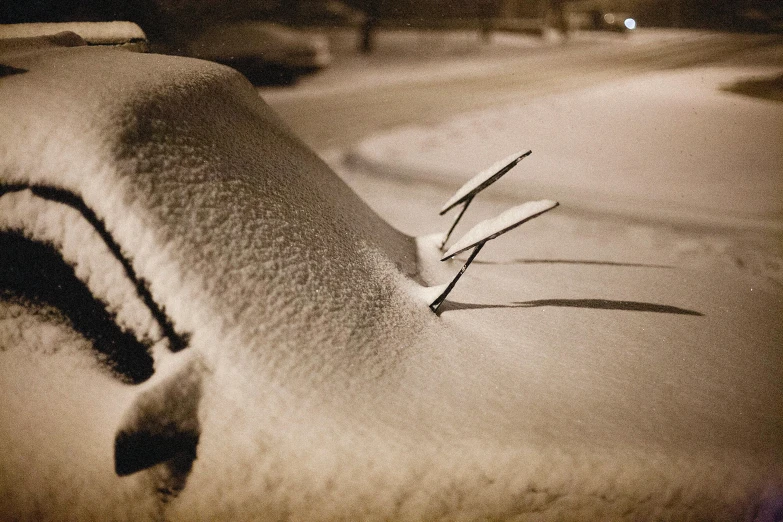 a car is covered in snow with a small nch sticking out of the top