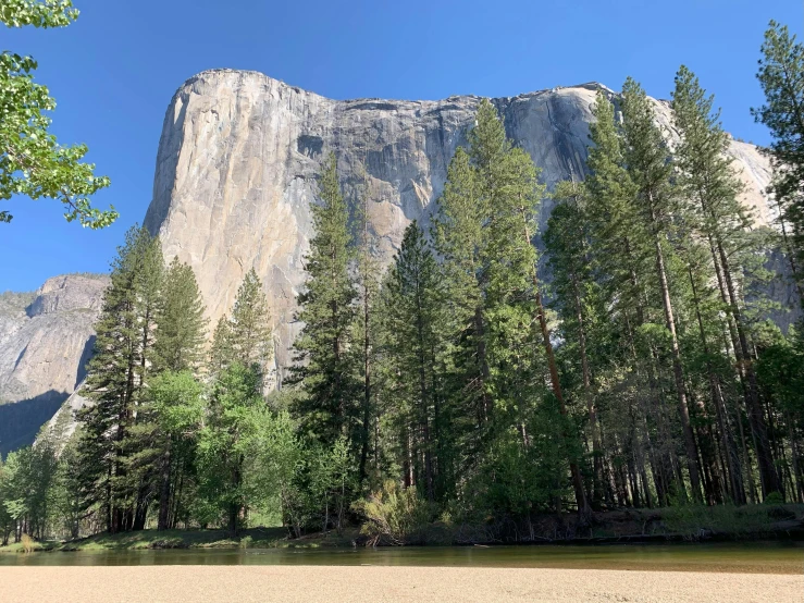 trees in front of a mountain surrounded by water