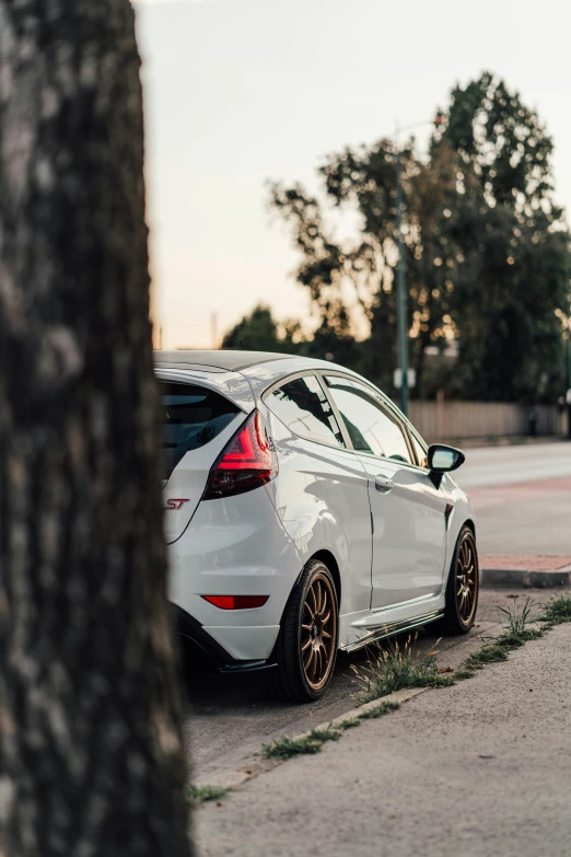 white car parked on street next to tree trunk