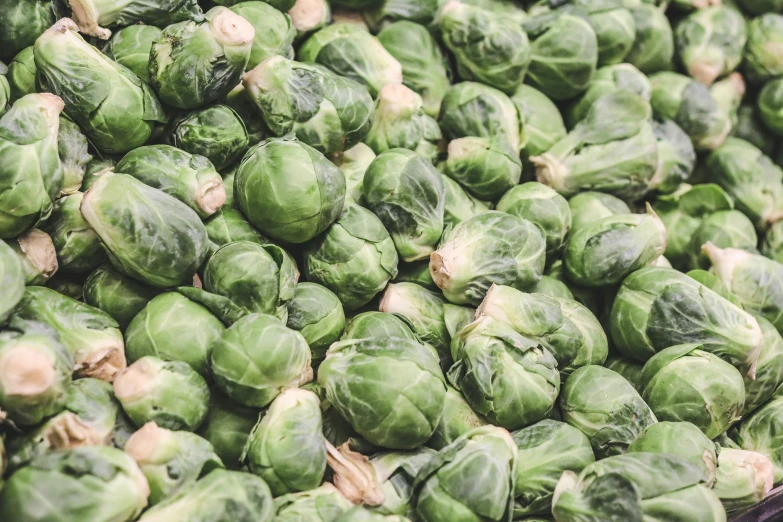 an assortment of different kinds of brussels sprouts