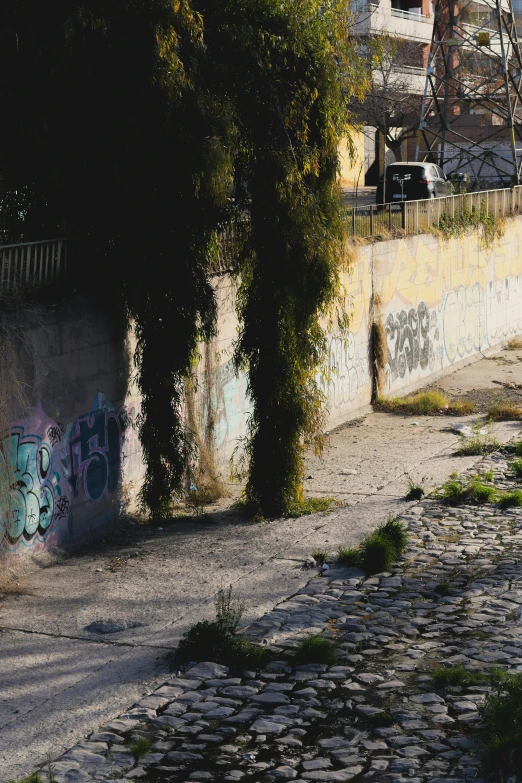 an old wall with graffiti near a fire hydrant