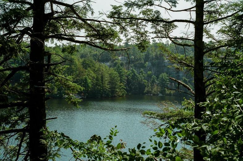 a view of a large body of water through some trees