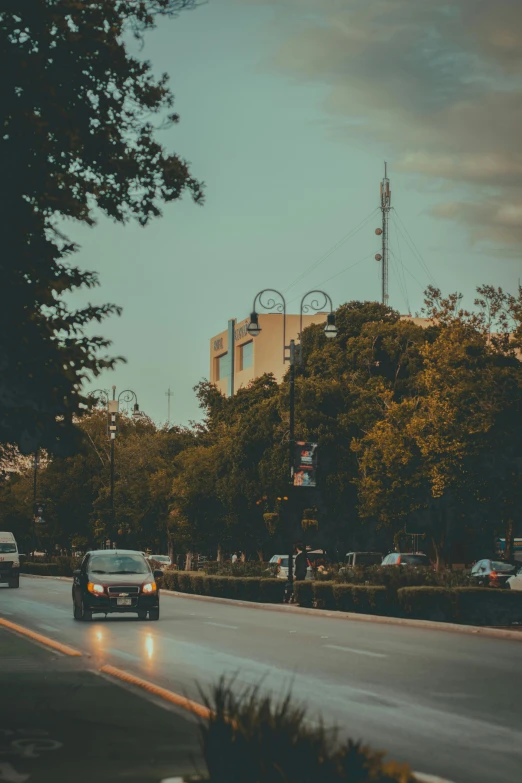 some cars are driving on the road near a bunch of trees