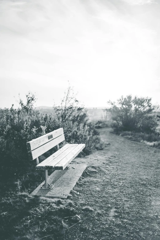 a bench is sitting in the middle of an empty park