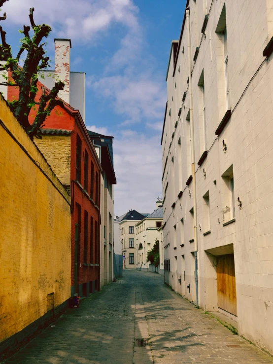 a narrow street lined with buildings and plants