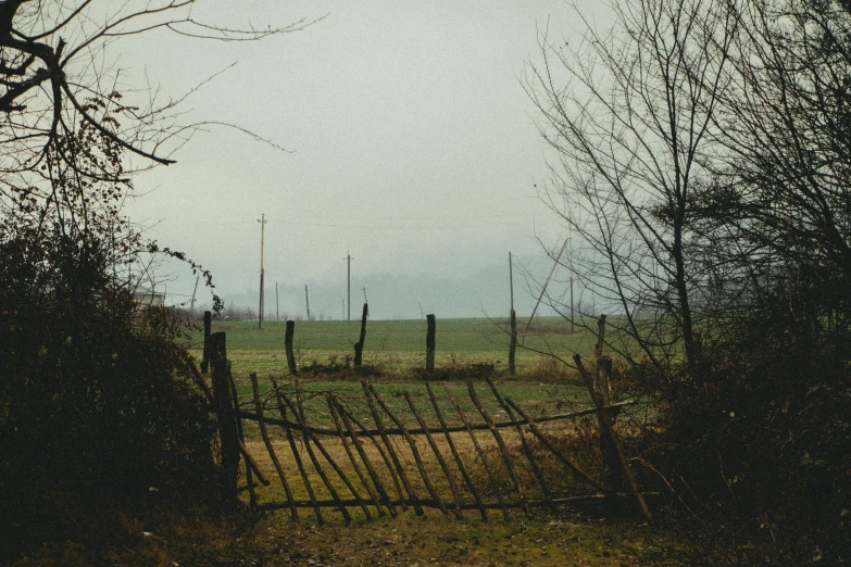 a grassy field and wooden fence in the fog