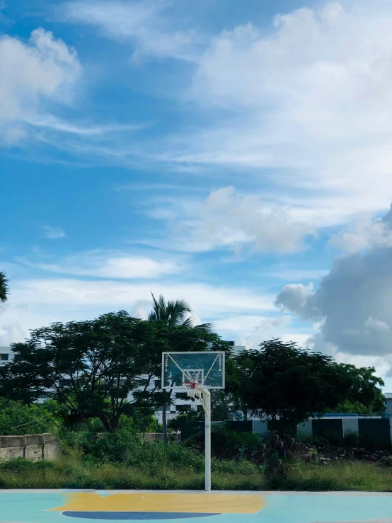 a basketball hoop in a park with trees in the background