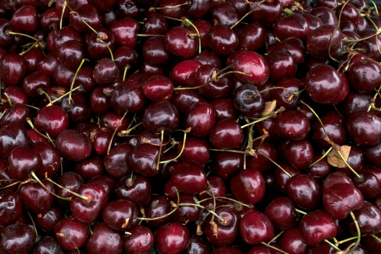 cherries are piled together with the tops removed