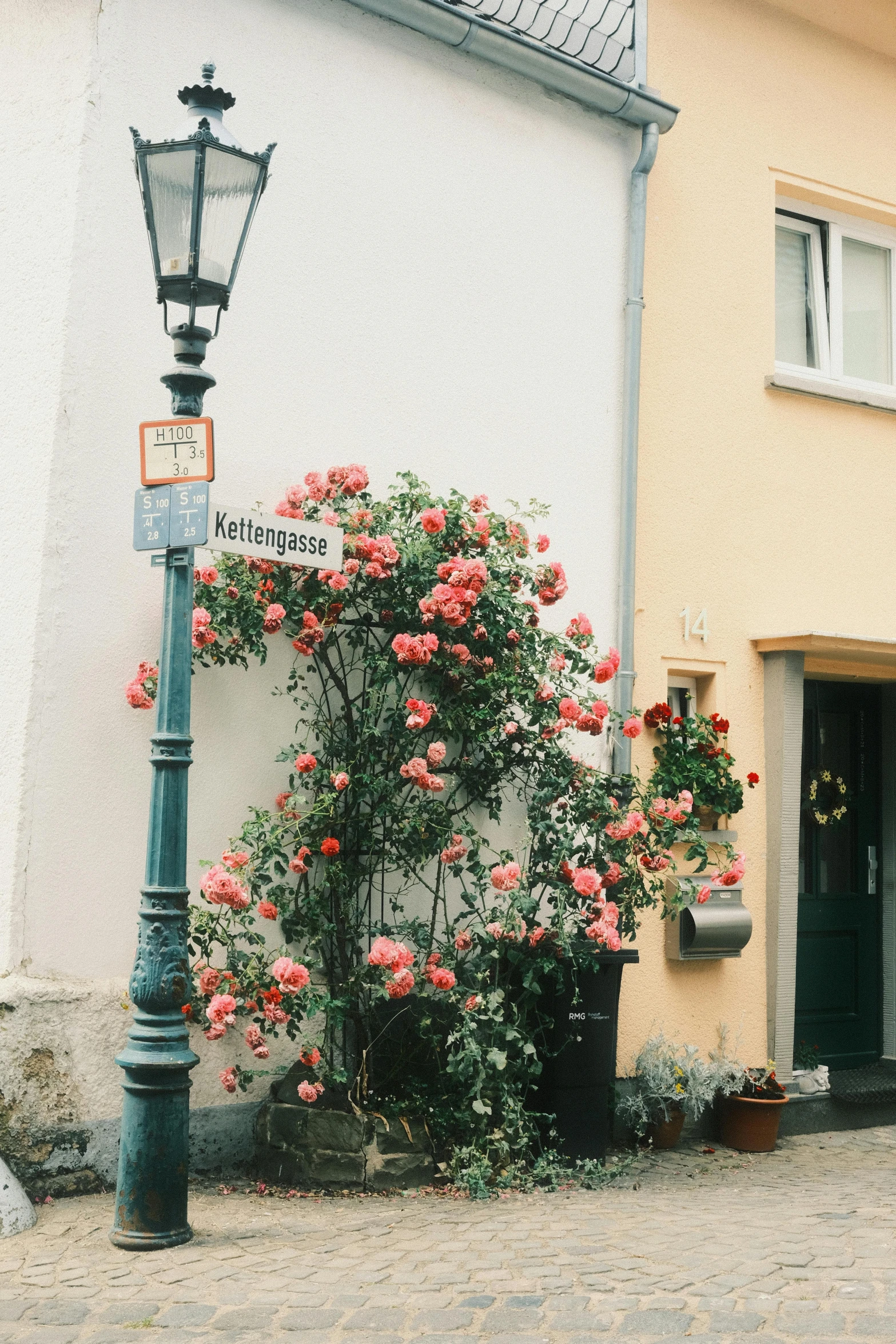 an old fashioned street light surrounded by roses