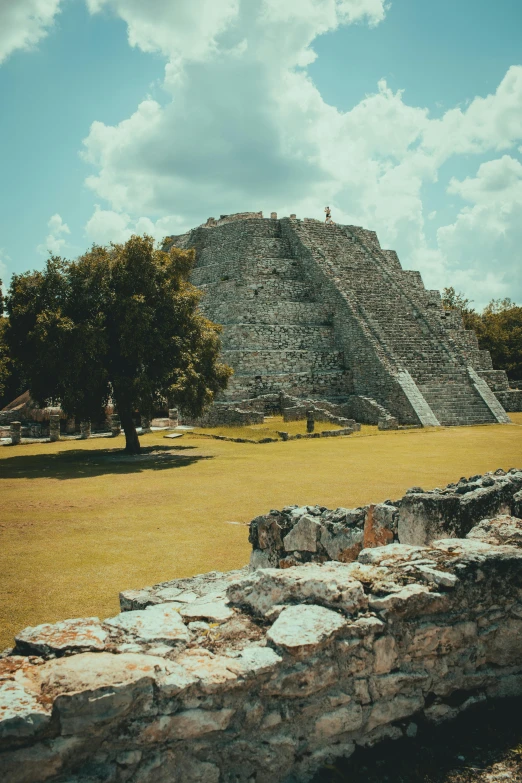 a stone structure near a tree and some rocks