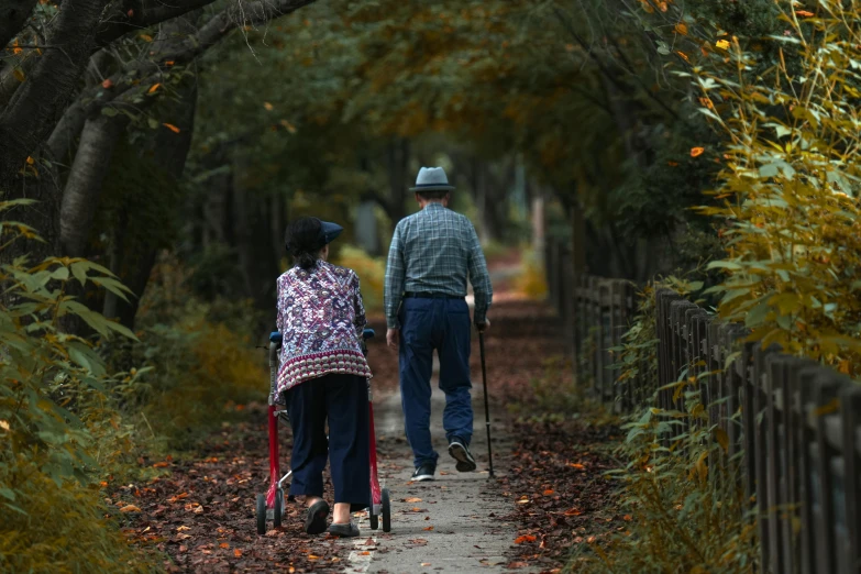 a woman pulling a walker past an older man walking on a path