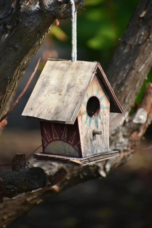 bird house with a birdhouse built on a tree limb