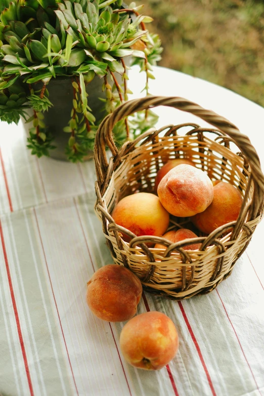 four apricots are in a basket on a table