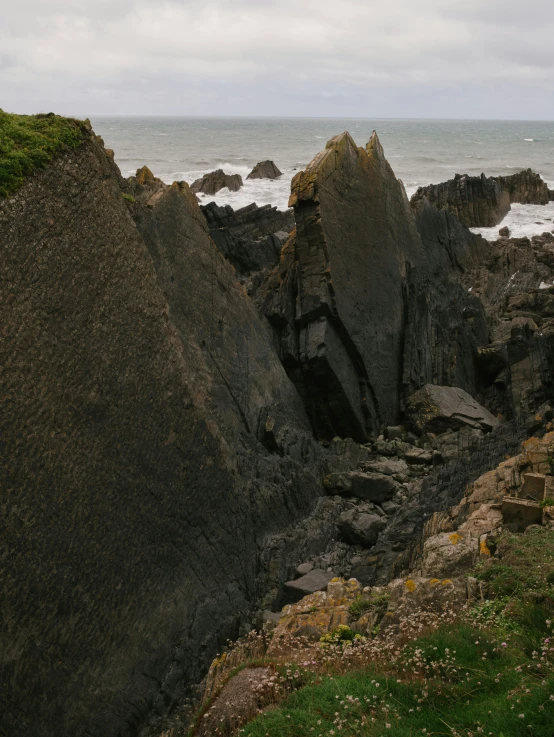 a group of rocks and grass next to water