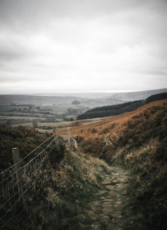 a fence is in front of a dirt path on the side of a hill