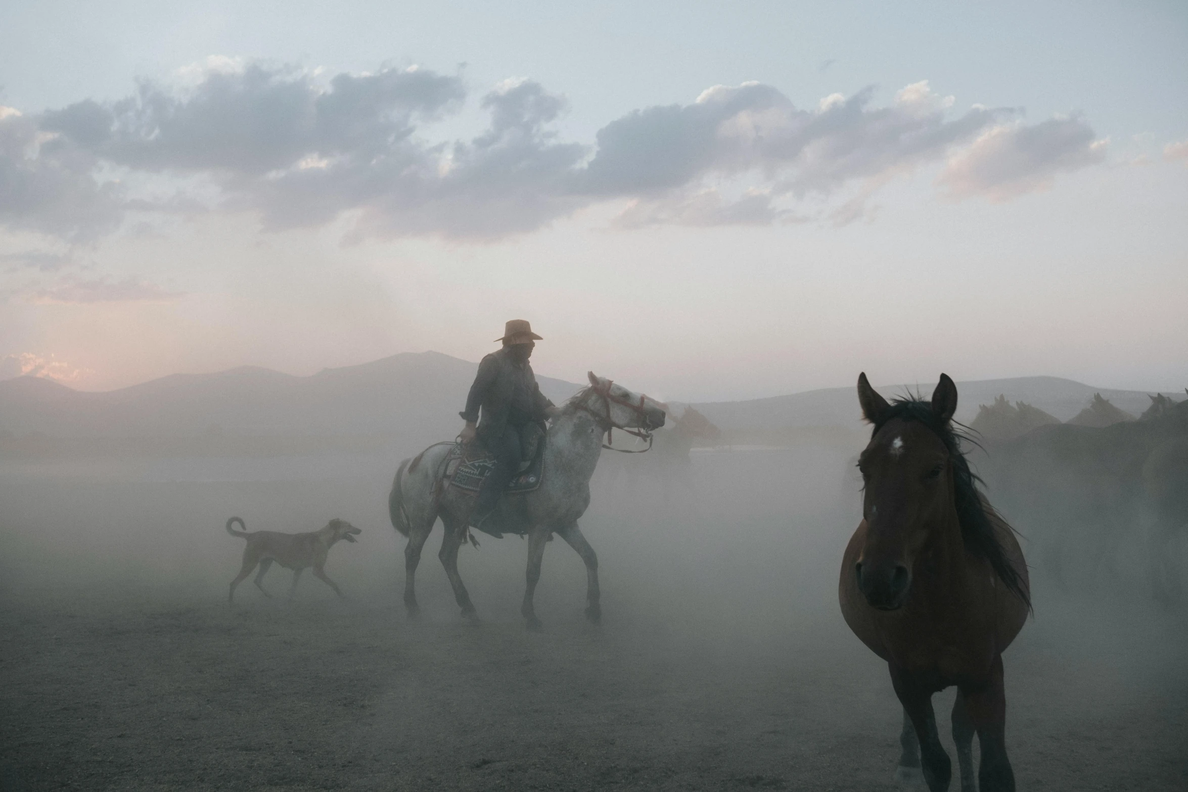 two people are riding horses and a dog running behind them