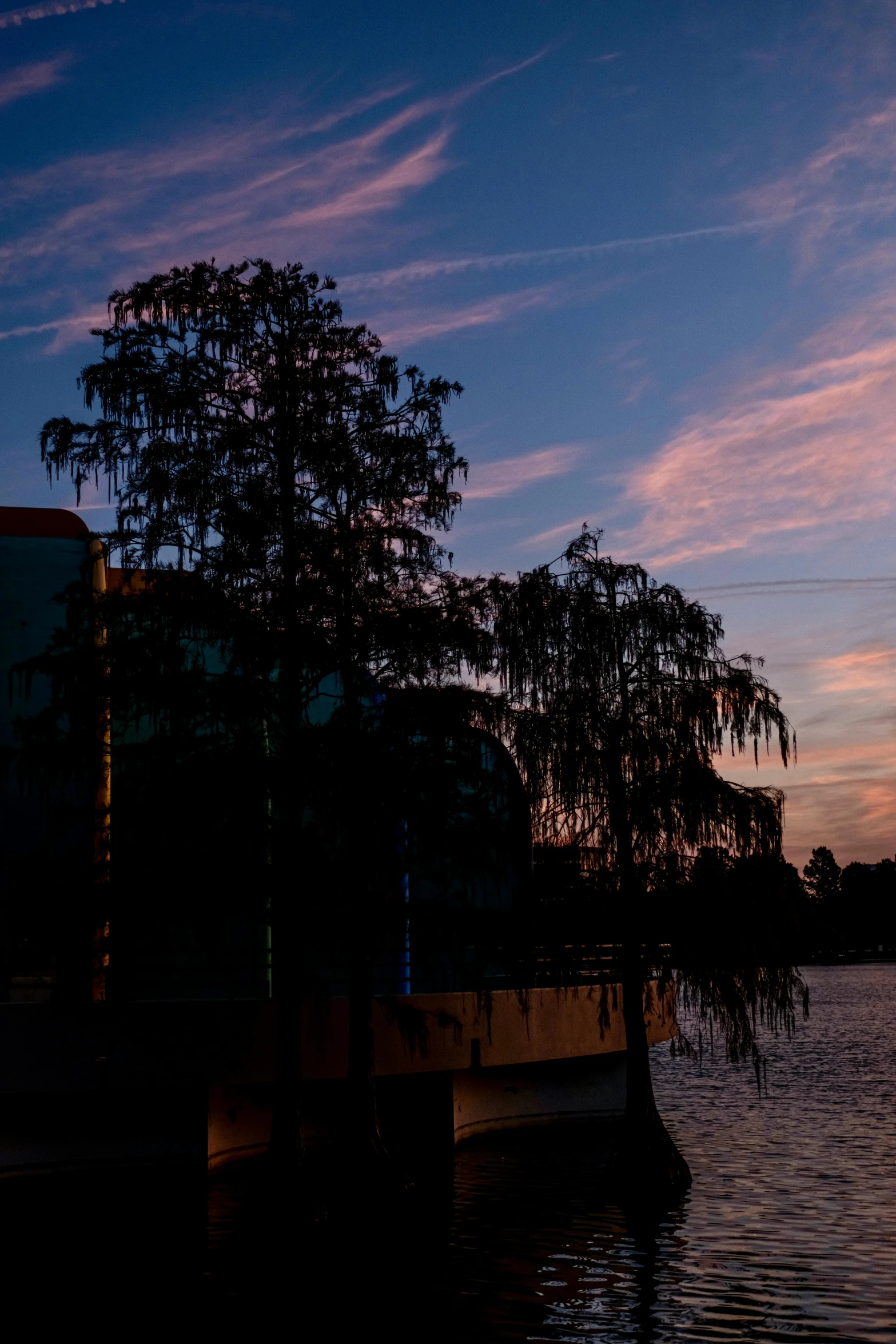 a sunset on the water shows clouds and tree silhouettes