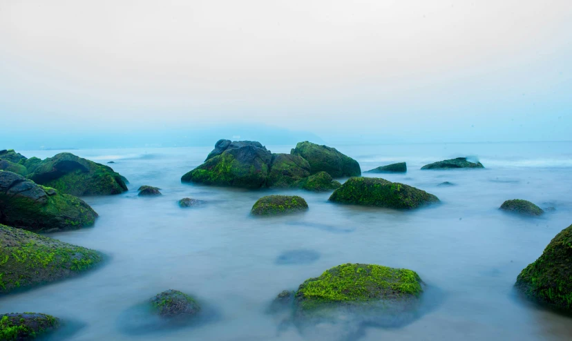 a group of rocks in the water with grass growing on them