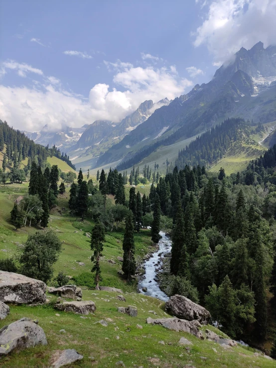 the mountains are covered with green grass and tall trees