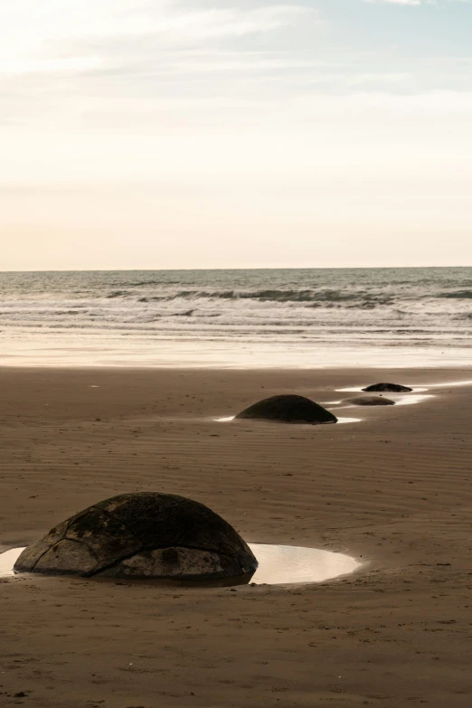 a sandy beach covered in sand next to the ocean