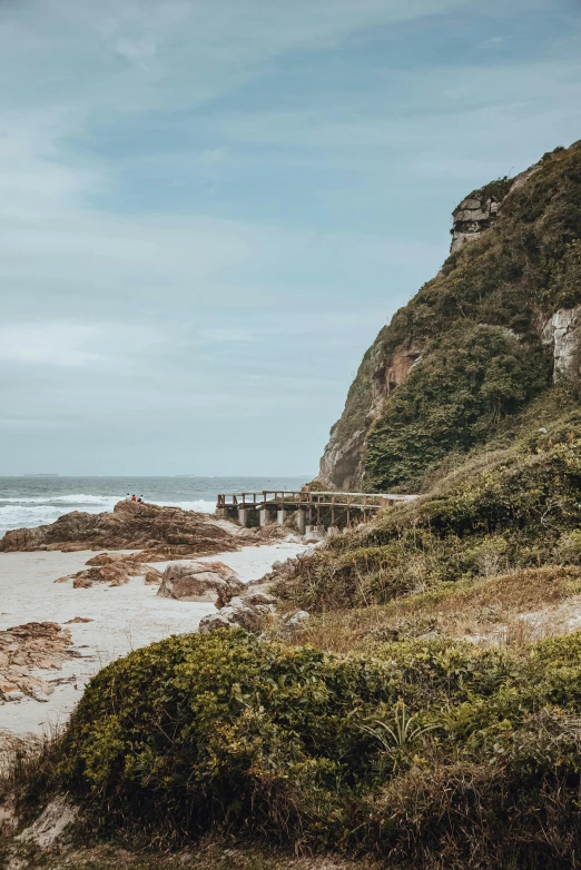 a dirt path leads to a grassy mountain and the ocean