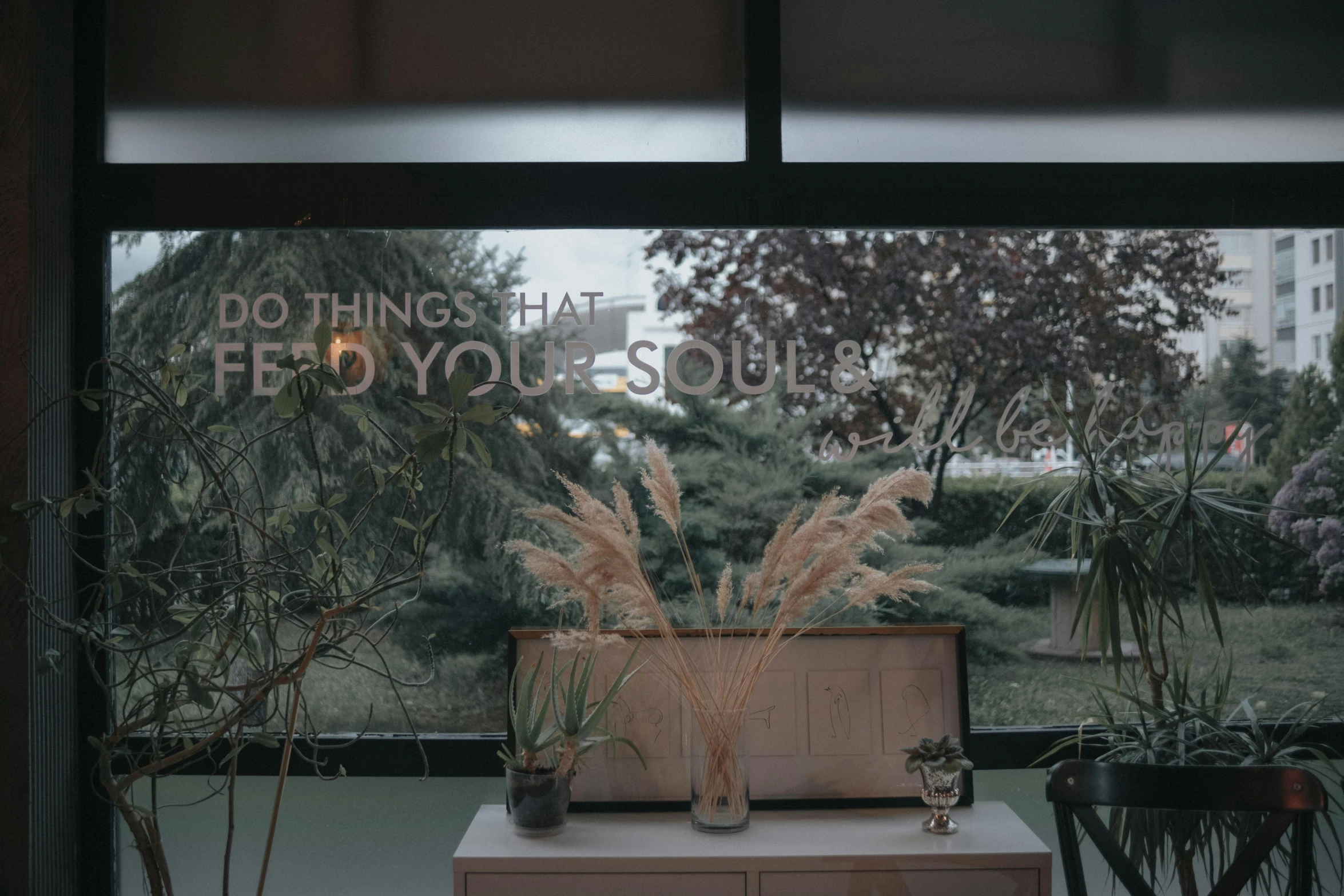 a plant stand with plants in it and the windows covered by frosting