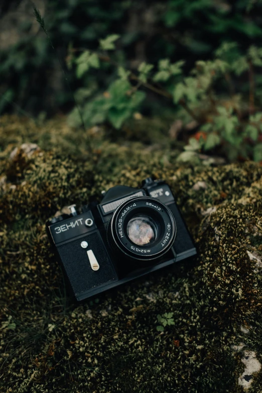 the old camera is resting in some moss