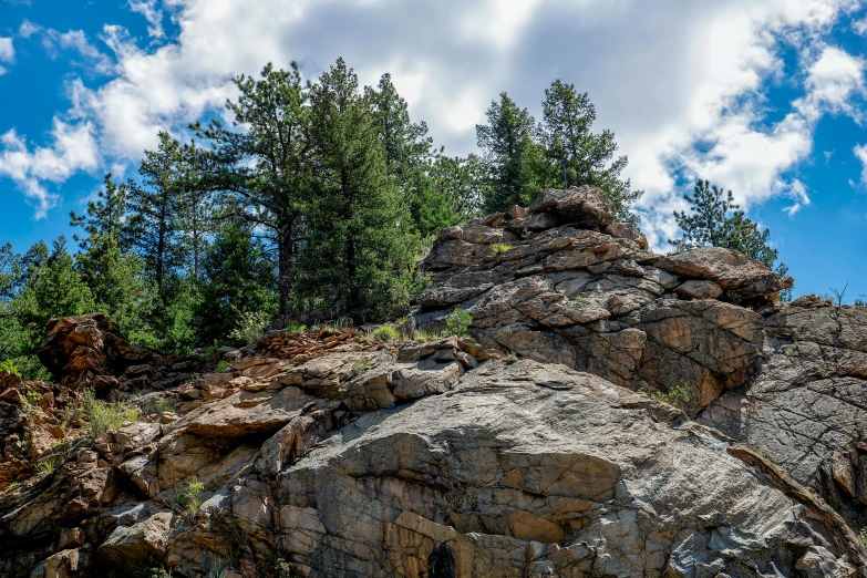 the lone sheep is standing on top of the large rock