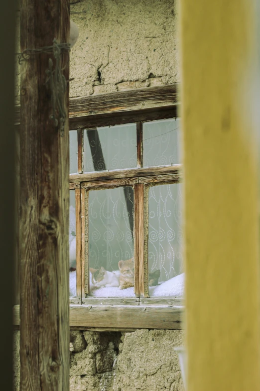 an open window with the blinds half closed, in a crumbling and destroyed house