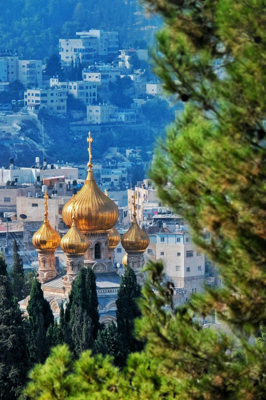 the tops of the buildings have gold domes