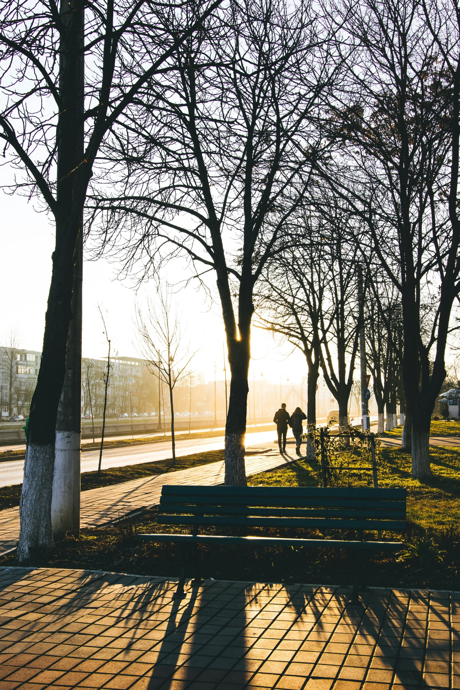 a bench in front of trees on a sidewalk