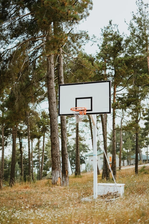 the basketball hoop has fallen over and is out in the middle of the woods