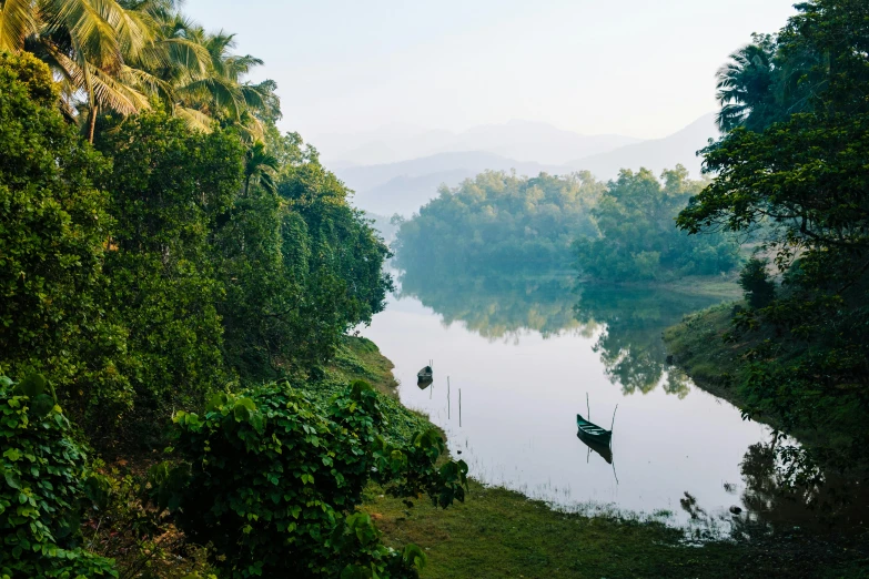 several canoes sitting in a small body of water near a jungle