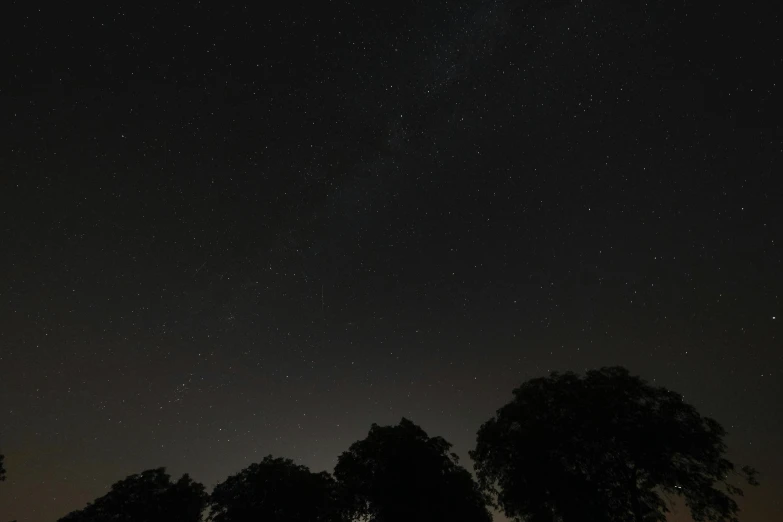 some trees and the moon in the sky