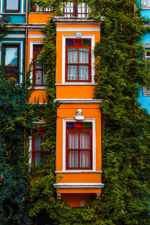 the front side of a building with windows that are covered in ivy