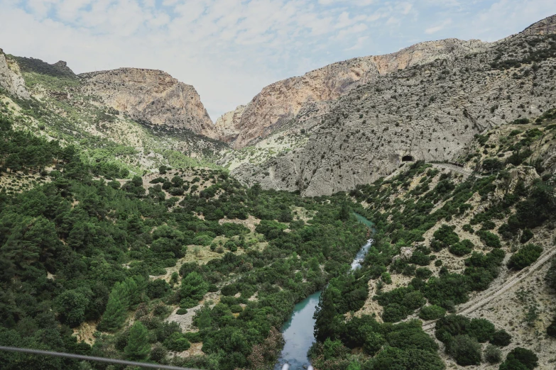 a river running through a lush green valley