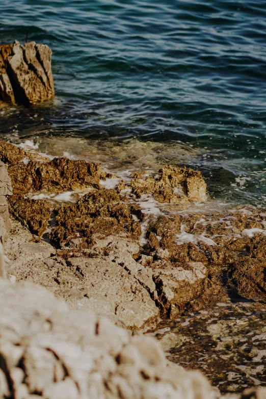 a bird is standing on some very rocks near the water