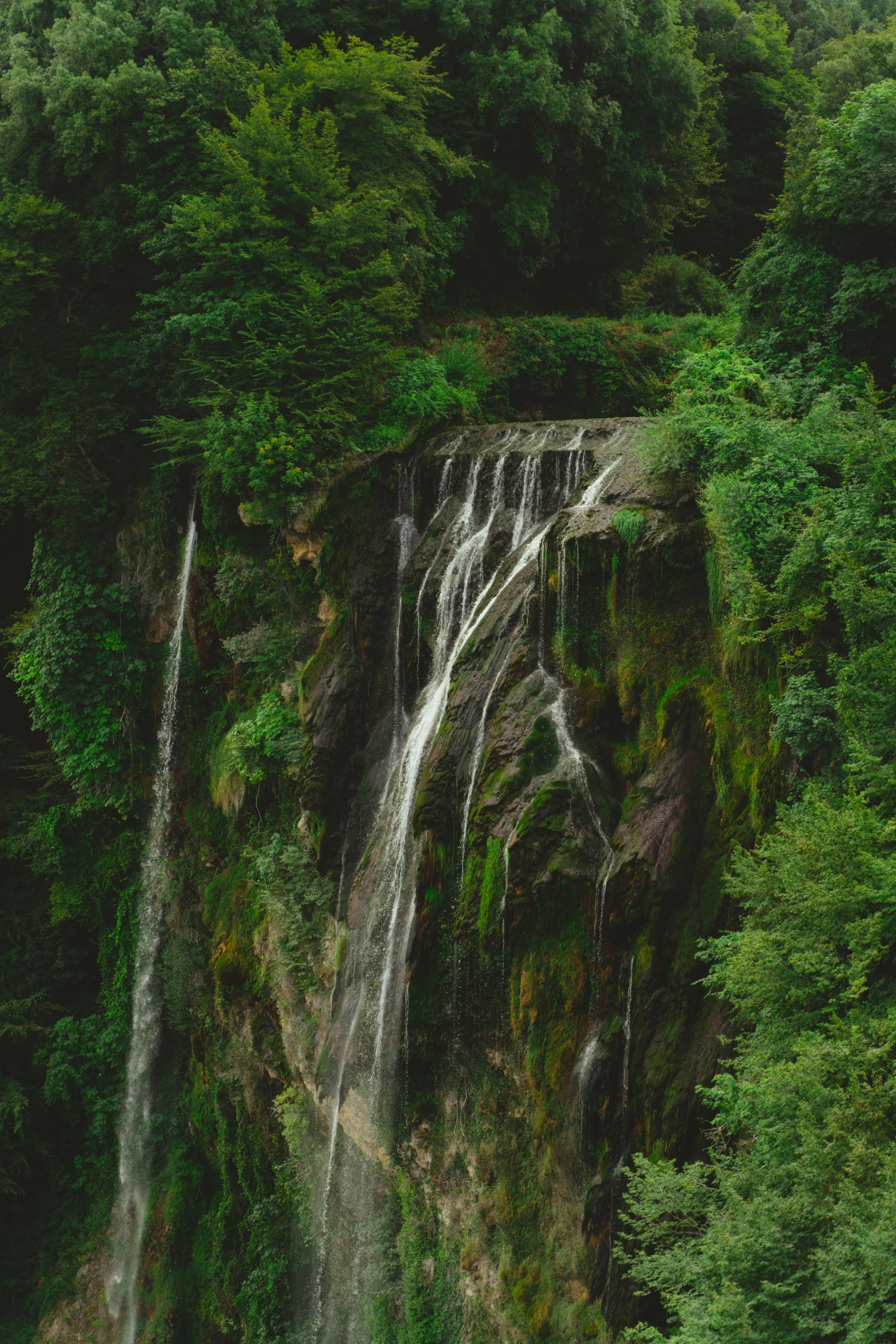 an image of a waterfall in the forest