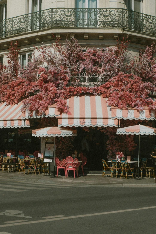 outdoor dining area with umbrellas and tables underneath a blooming tree