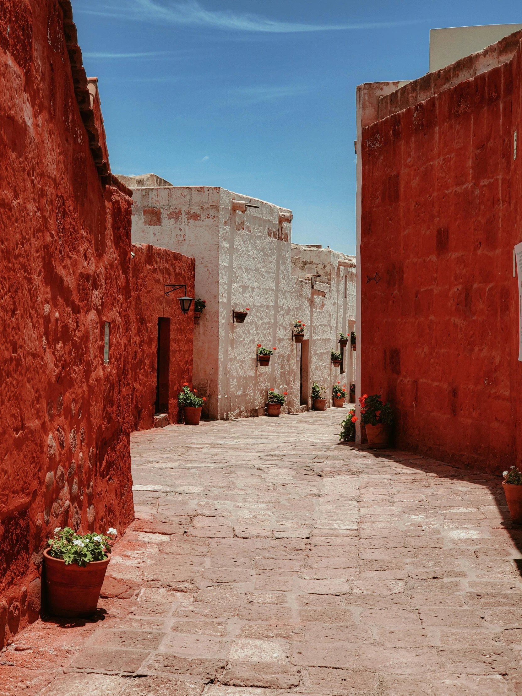 an alley way has several buildings and pots of plants on the side