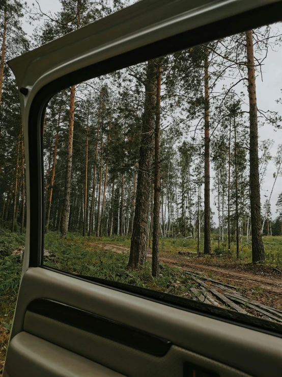 a car's rear view mirror reflecting trees in the woods