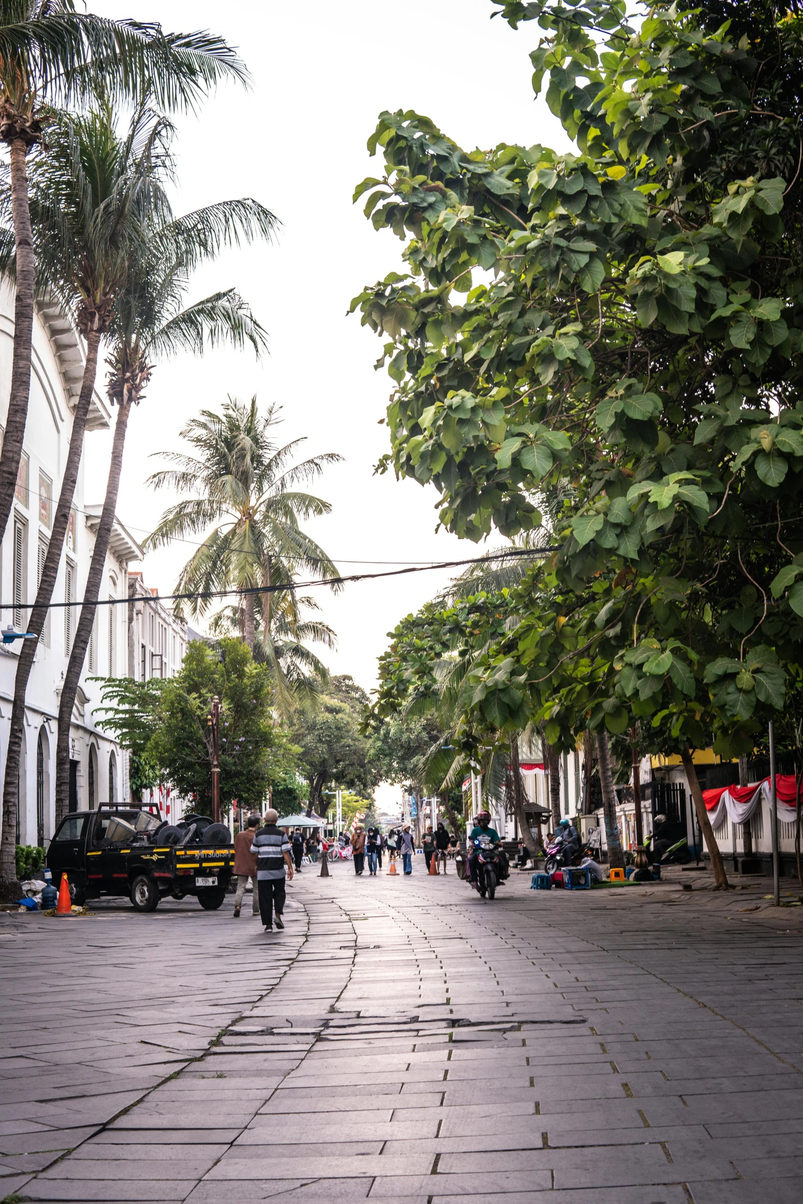 some people walking down a brick street near tall trees