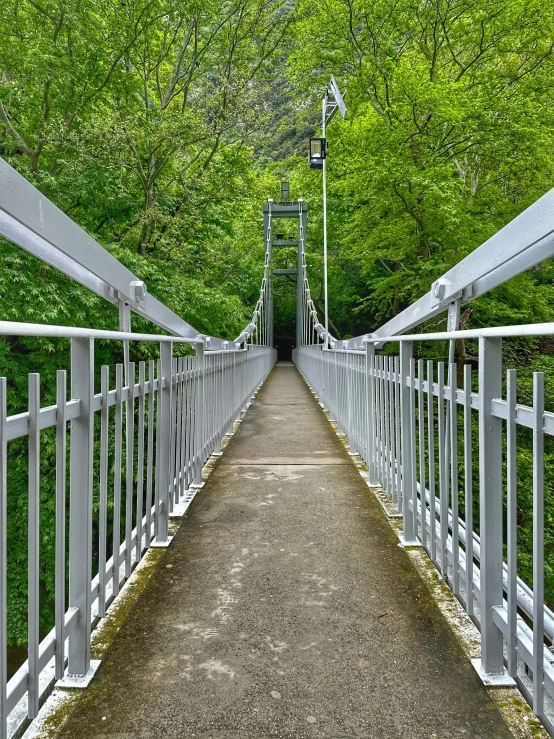 a walkway surrounded by trees and bushes leading to a light pole