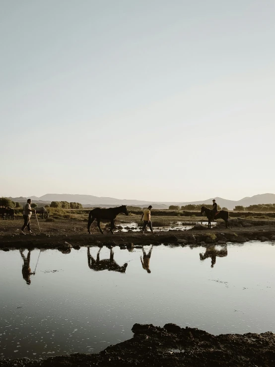 some people walking horses near the water