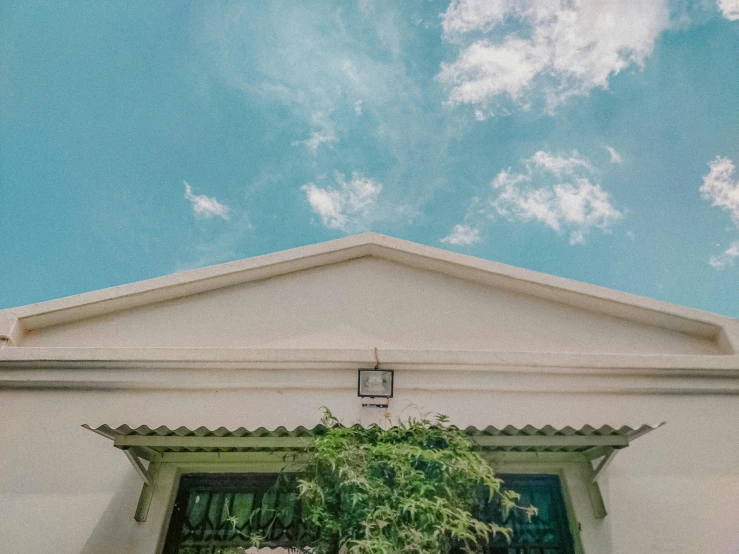 the windows of a building with a potted plant under them