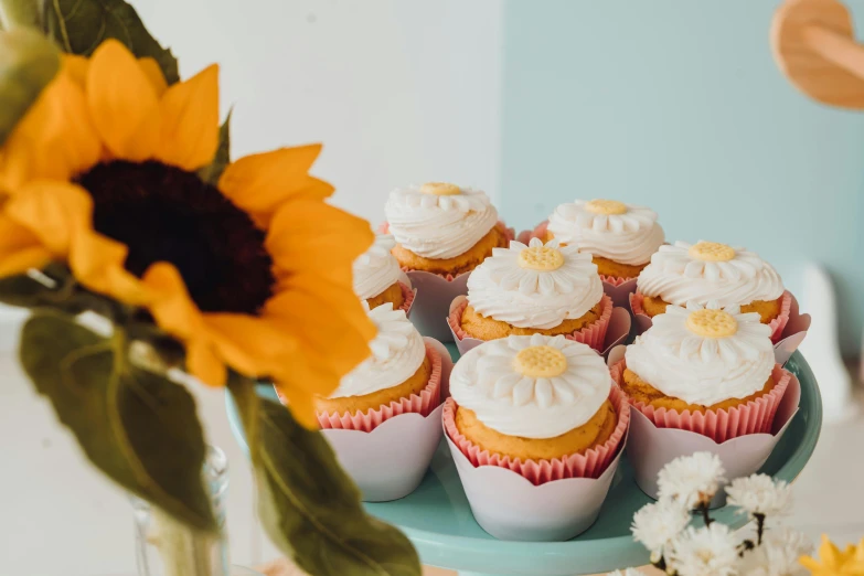 many cupcakes are sitting on a table and near a sunflower