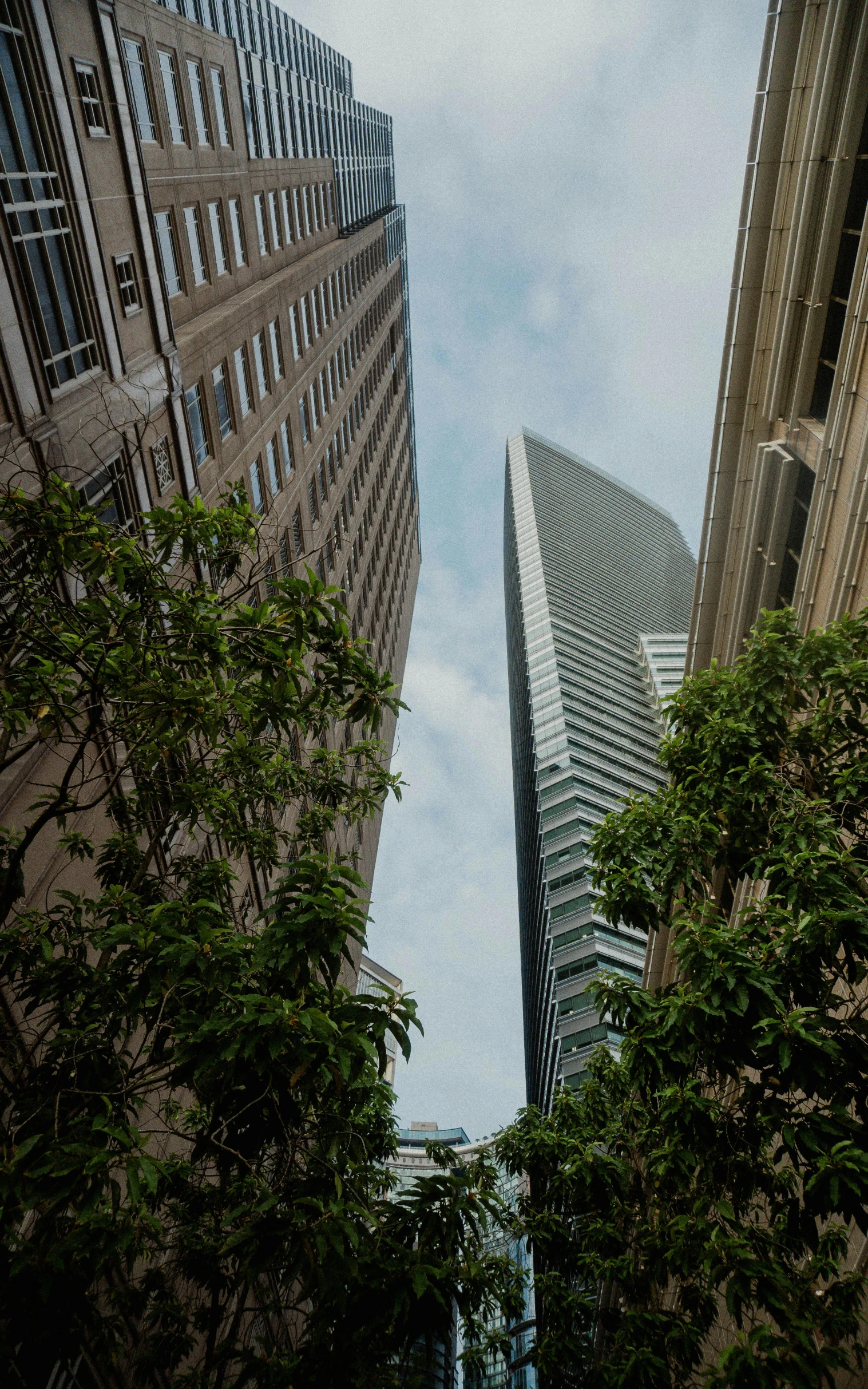 a street corner with trees and bushes looking up at two large buildings