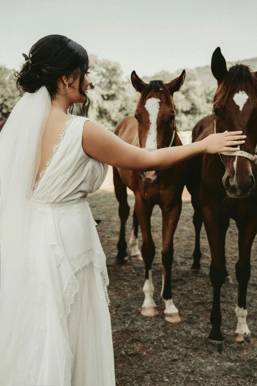 a woman in a white dress petting horses