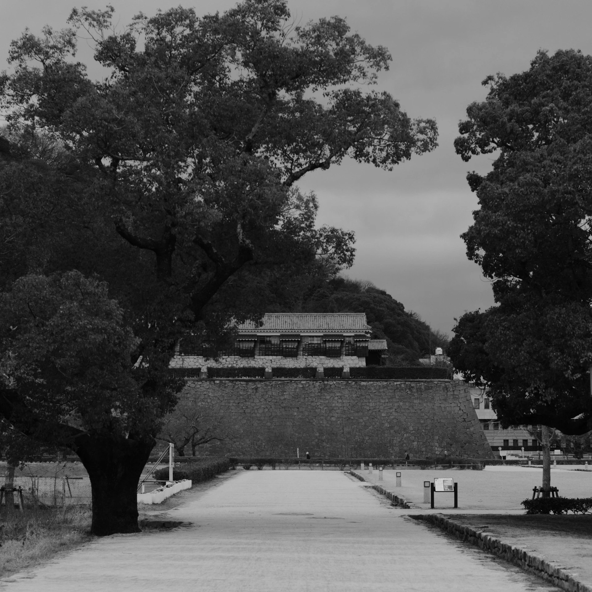 an image of a long pathway with trees around it